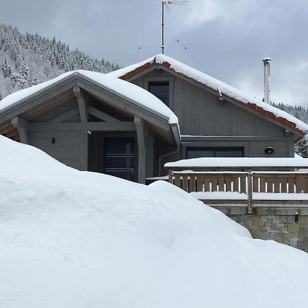Chalet Bel Horizon La Montagne Des Lamas La Bresse Exterior foto