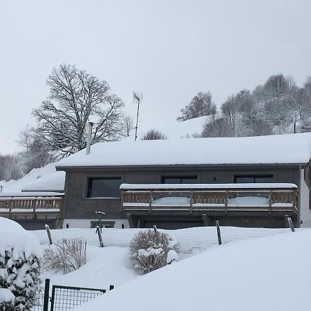 Chalet Bel Horizon La Montagne Des Lamas La Bresse Exterior foto