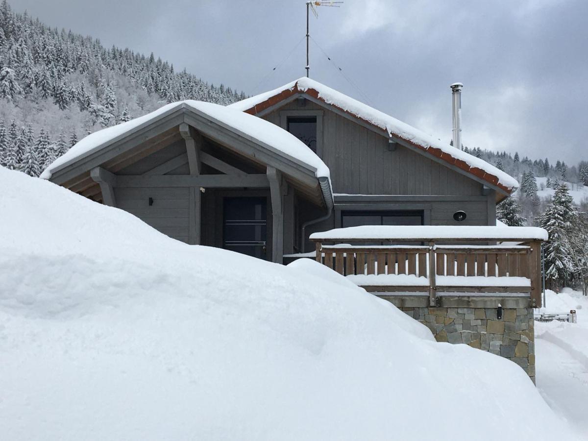 Chalet Bel Horizon La Montagne Des Lamas La Bresse Exterior foto